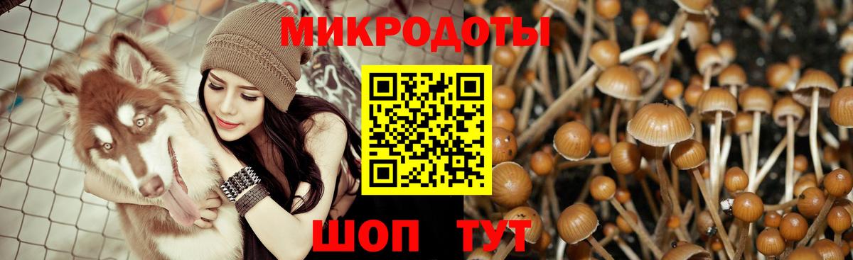 Галлюциногенные грибы мухоморы Азнакаево